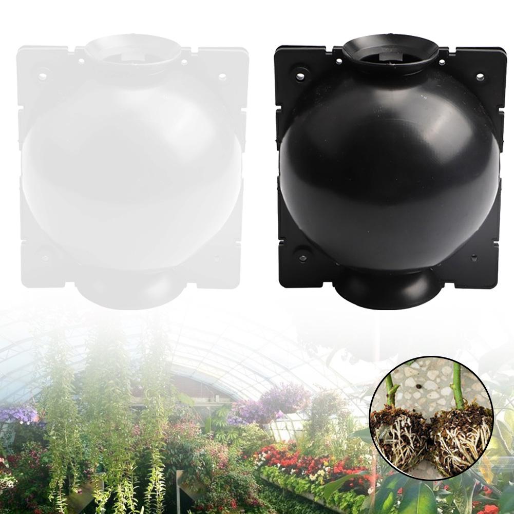Garden Plant Rooting Ball Grafting Root Growing Box Breeding Case Container High-pressure Propagation Box Sapling