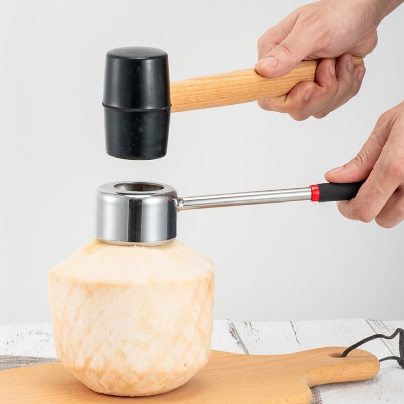 WEDO • Scaling Hammer • 304 Stainless Steel