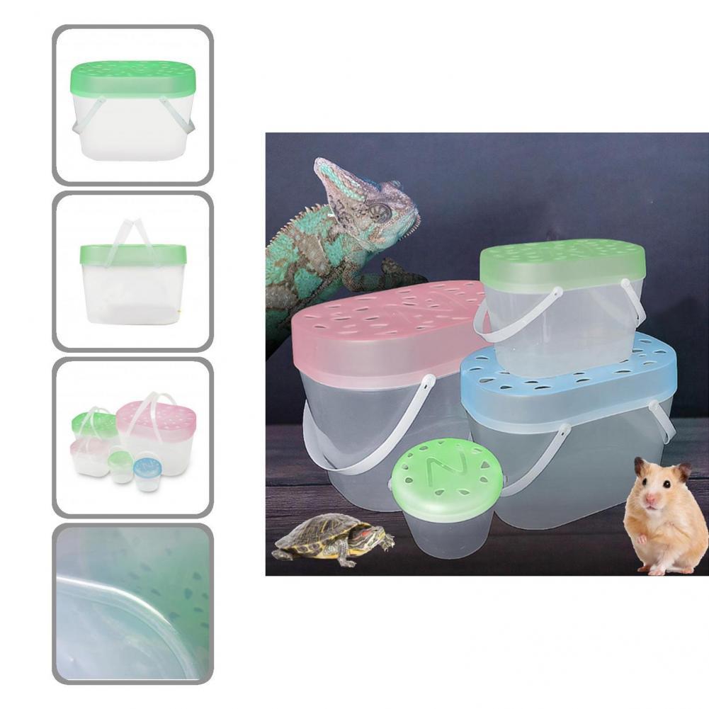 Compact Portable Fish Tank Hole Plastic Portable Fish Tank Pet Crate Small Pet Crate Mini Fish Tank