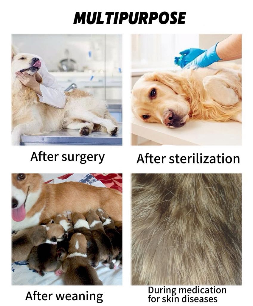 Surgery Recovery Suit Anti Licking Wounds Pet Care Clothes After Surgery Clothes Pet Supplies For Dog Pet Accessories WWO66