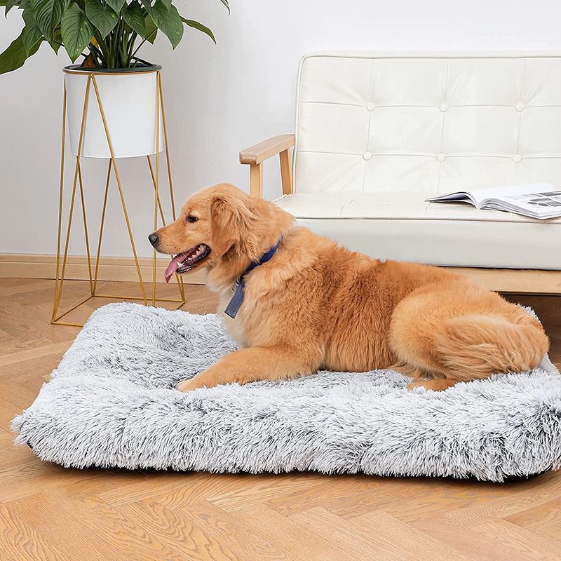 Plysch varm hund sovmatta mjuk fleece husdjursfilt avtagbar katt valpmatta kudde för små medelstora hundar