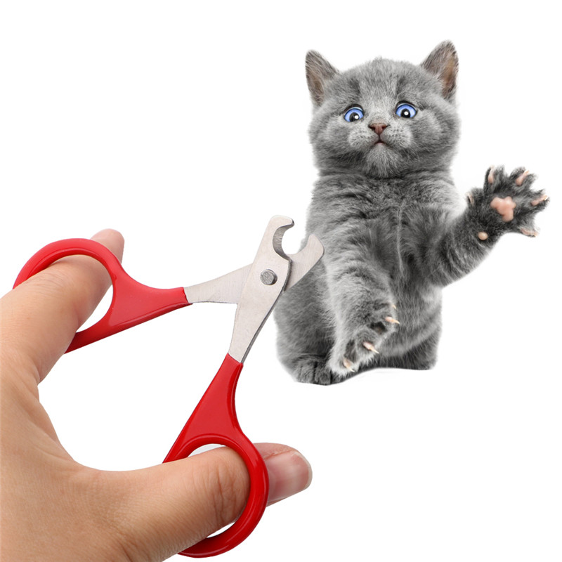 Professionele Hond Nagelknipper Cutter Rvs Grooming Schaar Clippers Voor Dieren Katten Met Lock Maat S L