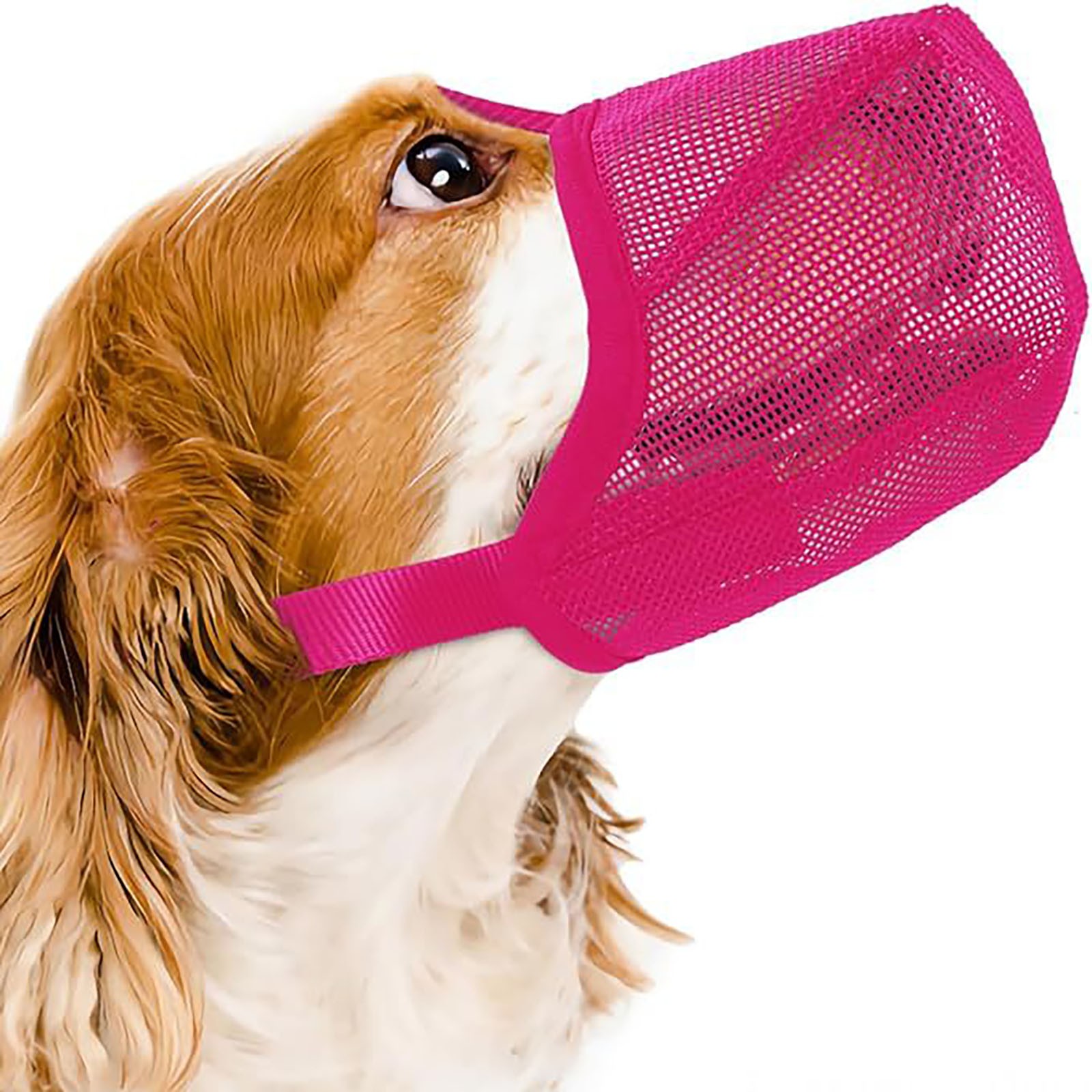 Adjustable Dog Mouth Cover Anti-Bite Pet Mask Portable Proof Breathable Drinking Water Pet Muzzle Practical Outdoor Pet Supplies: 4XL / light green