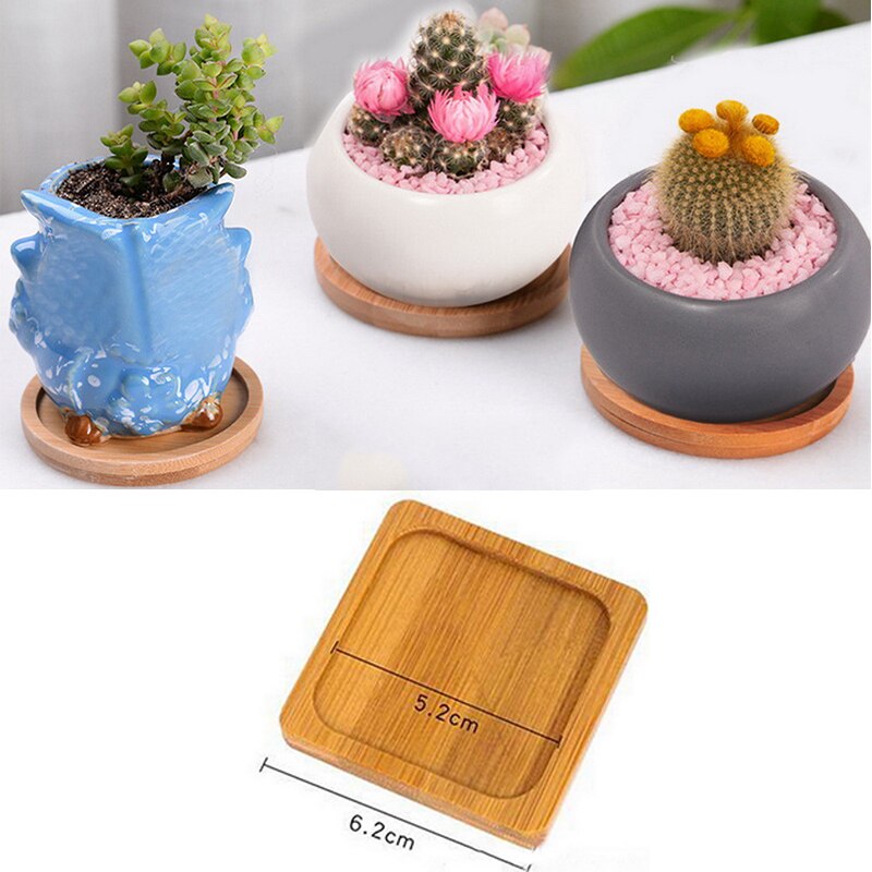 Duurzaam Plant Druipen Pad Schotel Clear Plastic Schoteltjes Drip Trays Set Bloempot Lade Ronde Schotel Voor Binnenshuis Outdoor Planten pot: 1 Pcs 6.2cm