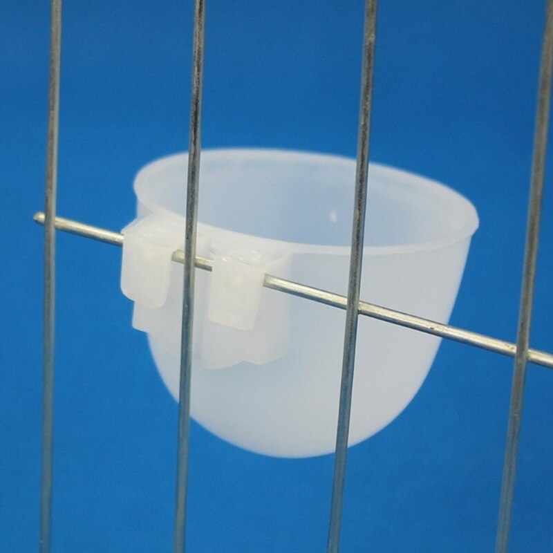 Parrot Bird Hamster Round bottom Feeding Bowl Hanging Drinking Food Cup Tools