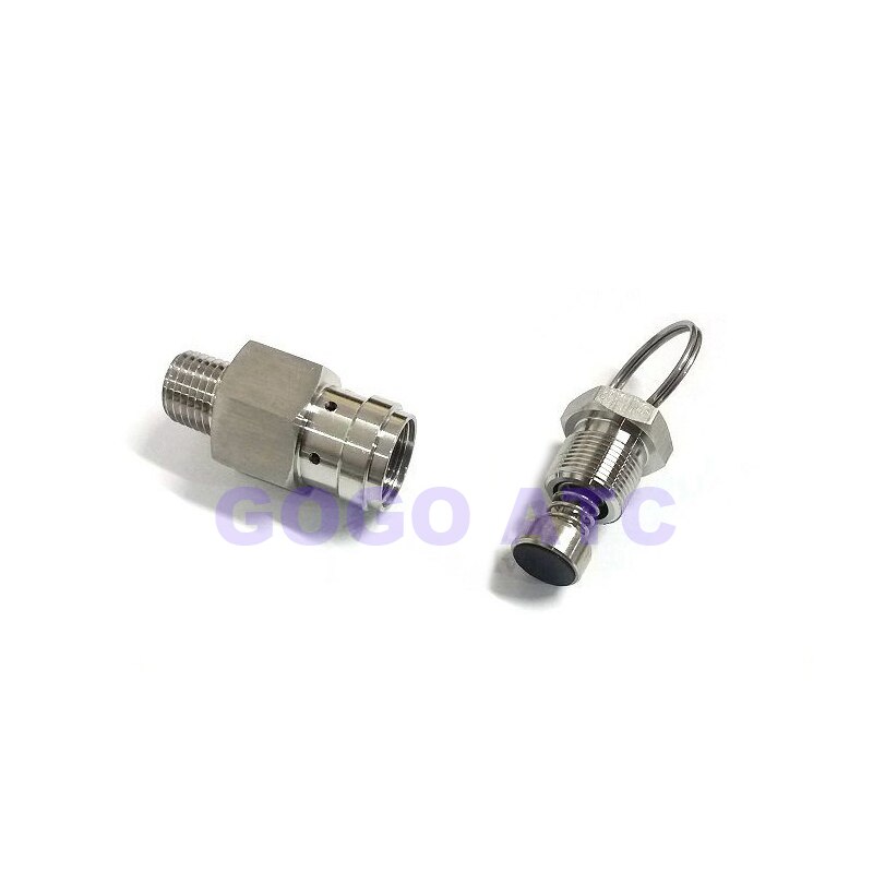 SS304 stainless steel air compressor safety valve 1/4 NPT pressure relief valve 1bar steam generator boiler parts