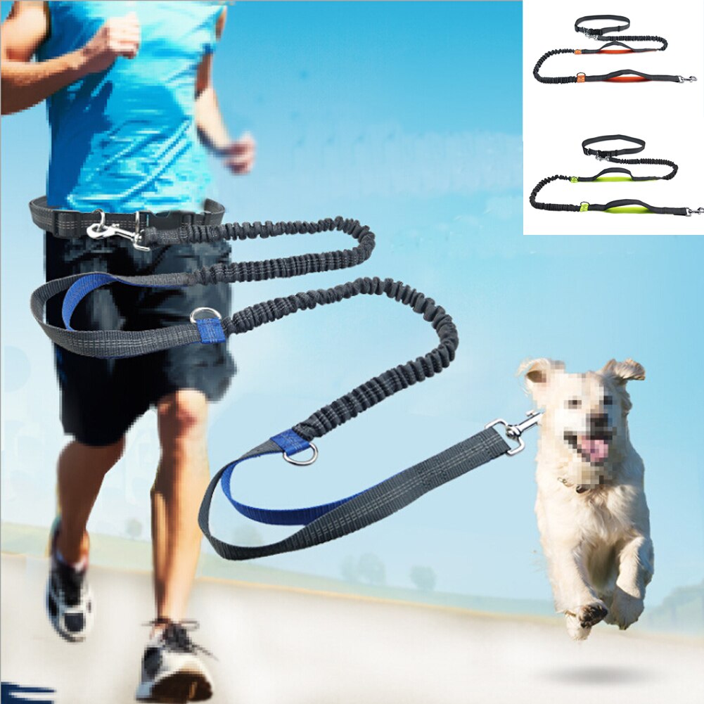 Reflekterende bånd trekktau kjæledyr hund løpebelte elastisk hender fritt jogging trekk hundebånd metall d-ring bånd