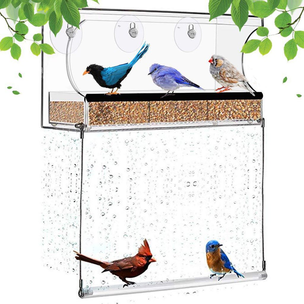 Window Bird Feeder with 3 Strong Suction Cups, Bird Feeders for Outside, Seed Tray with Drain Holes, for Kids Bird Lovers