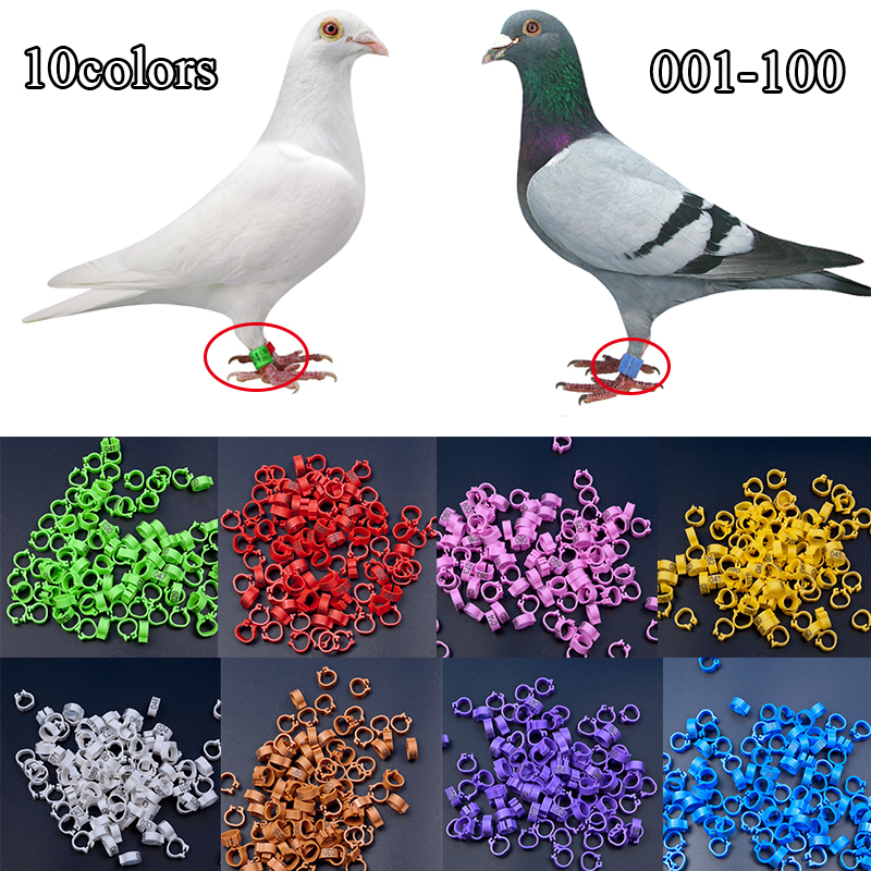 Inner Diameter 8mm Pigeon Leg Bands Poultry Dove Bird Parrot Clip Rings Band Foot Ring Pigeon Supplies Bird Appliances 100 Pcs