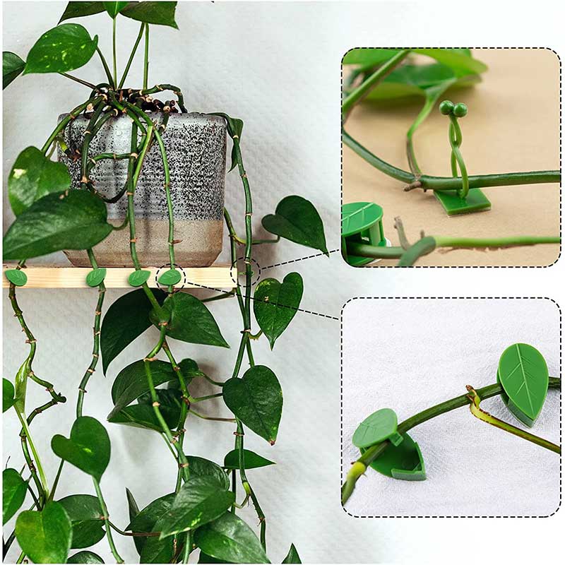 Clips de fixation murale pour plantes grimpantes, 10/30/50 pièces, fixateur de vigne en rotin, crochet auto-adhésif Invisible, Clip de liaison de jardin, Clip collant mural