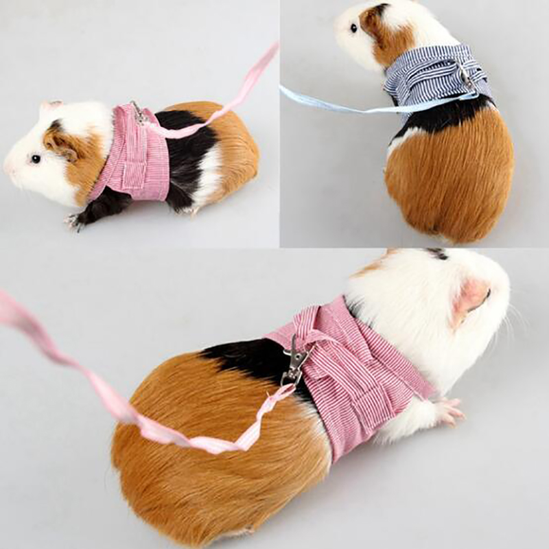 Sangle de poitrine d&#39;extérieur pour petit animal de compagnie, corde de Traction, vêtements en laisse pour Chinchilla, cochon d&#39;inde néerlandais