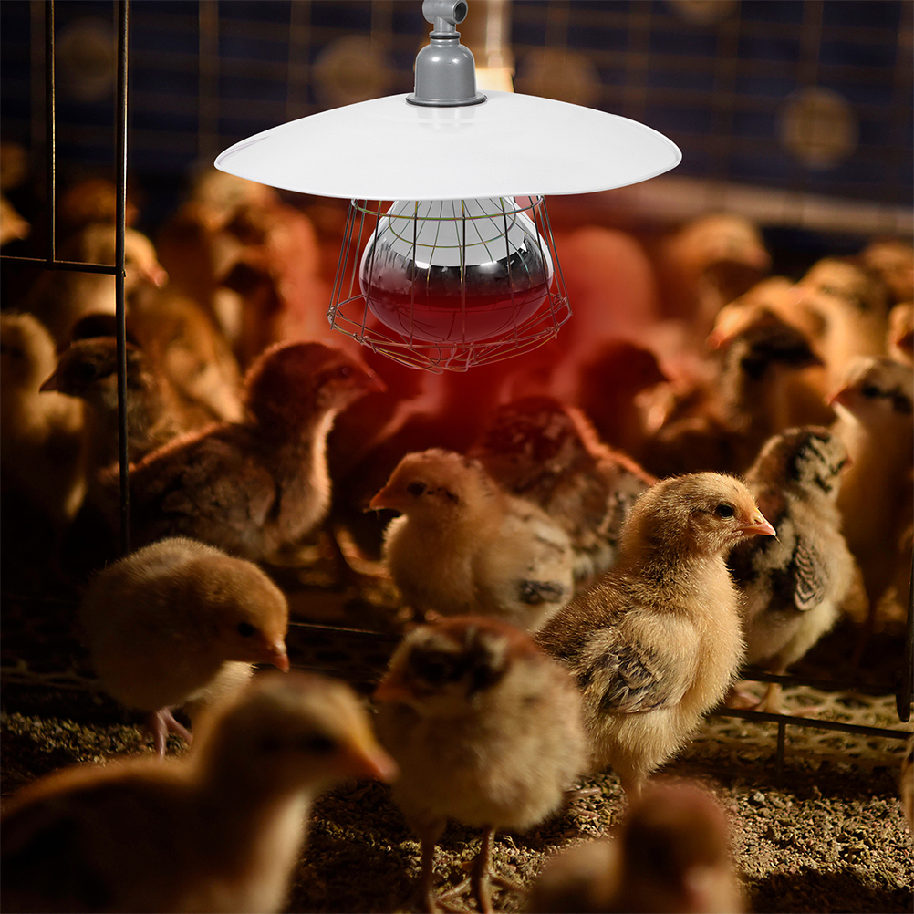 Lampe chauffante de remplacement pour bétail, pour chauffer le bétail