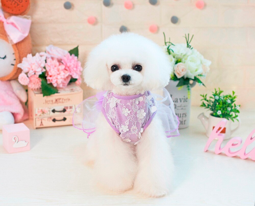 vestido de encaje para perros de compañía a la con estilo de Ballet de ensueño vestido para perros ropa para perros