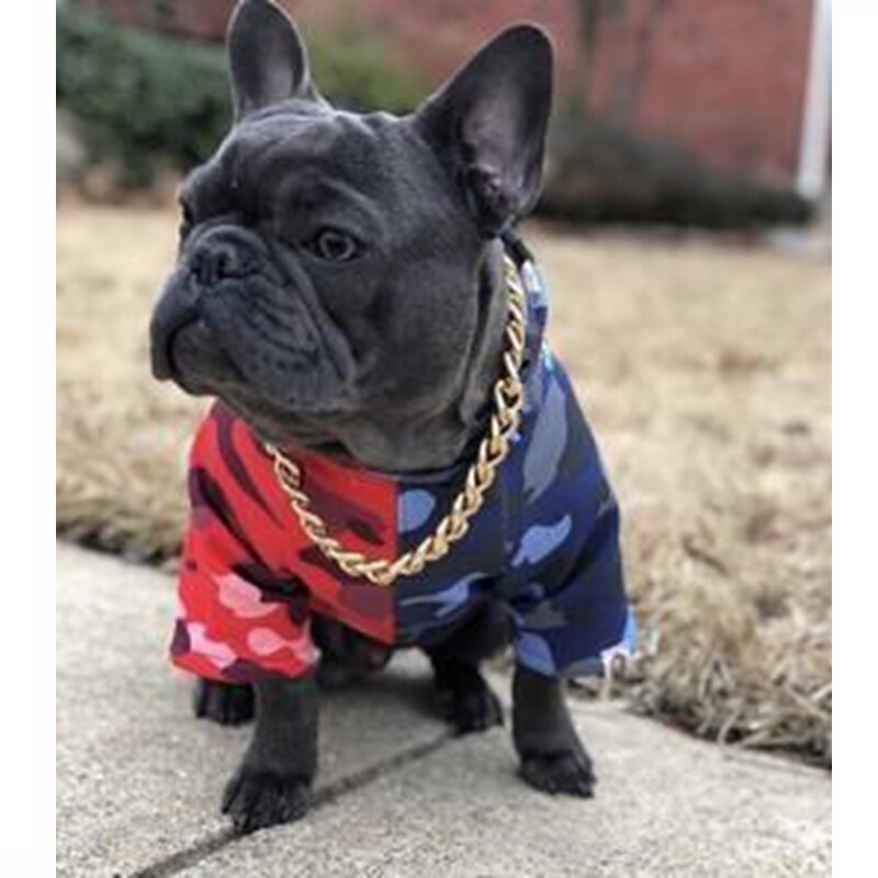 Bulldog Francés invierno cálido camuflaje – Grandado