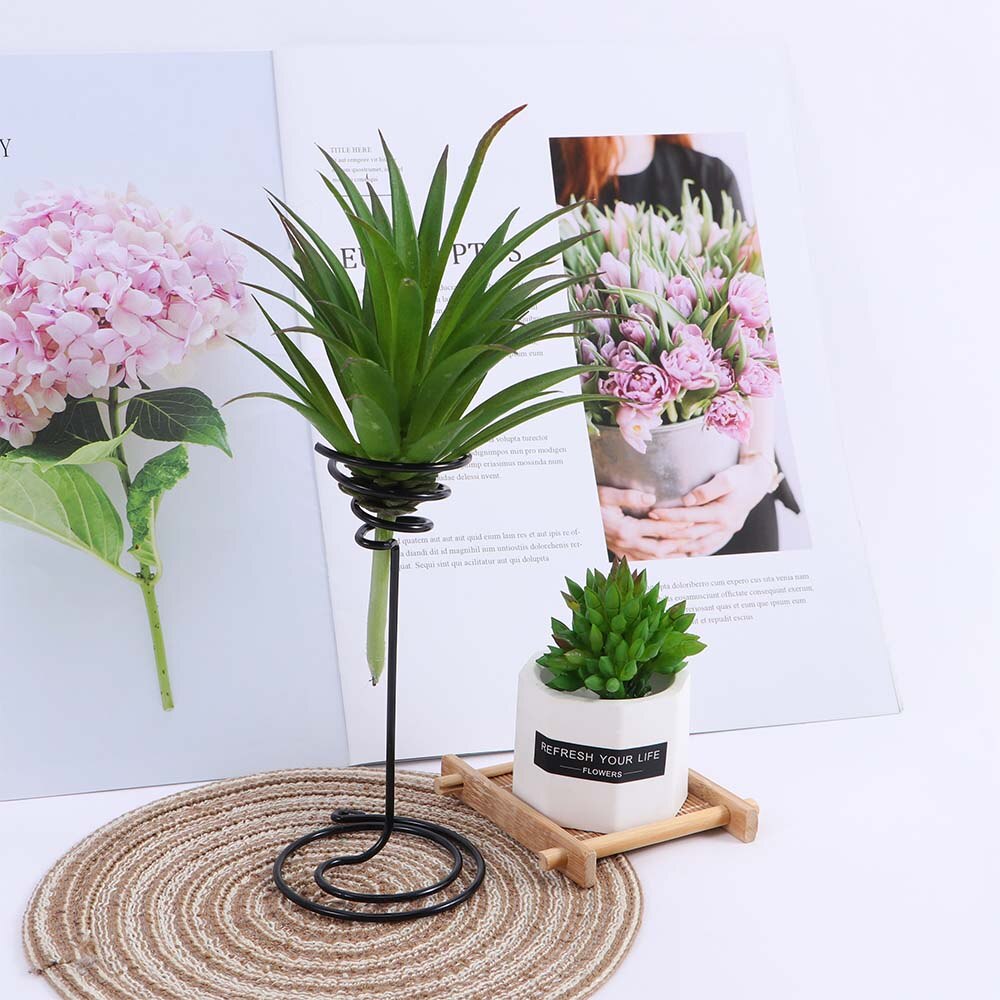 1 Uds Mini decorativo de Metal planta de aire soporte contenedor titular balcón decoración planta Tillandsia suministros de jardín