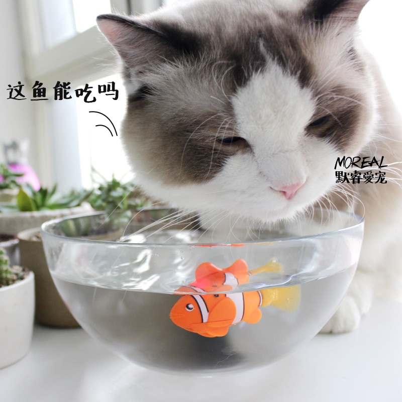 MPK Vibrierende Katze Spielzeug Batterie-angetrieben Fisch, Katze Spielen Spielzeug Katze Fisch Clown Angelfish Viele Farben Erhältlich
