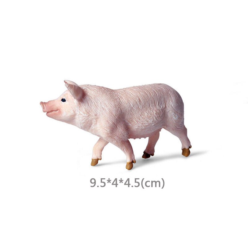 Wild Jungle Zoo Animal Model Malayan Tapir Anteater Koala Pangolin PVC Collection Model Action Figure Kid Educational Toys: Pig