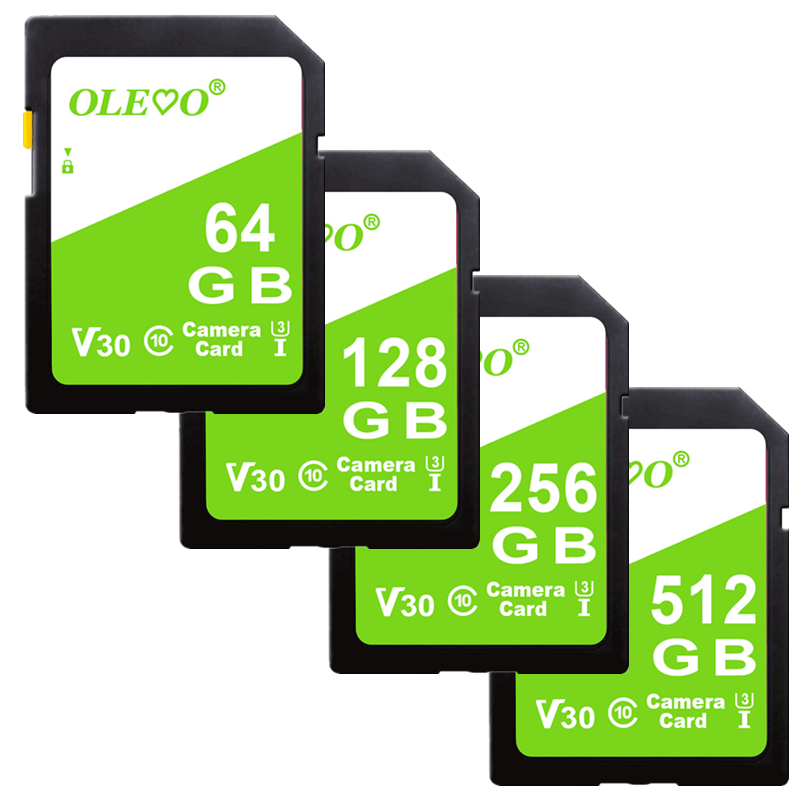 SD Memory Card 16GB 32GB 64GB 128GB 256GB 512GB C10 SD Card for Camera SRL