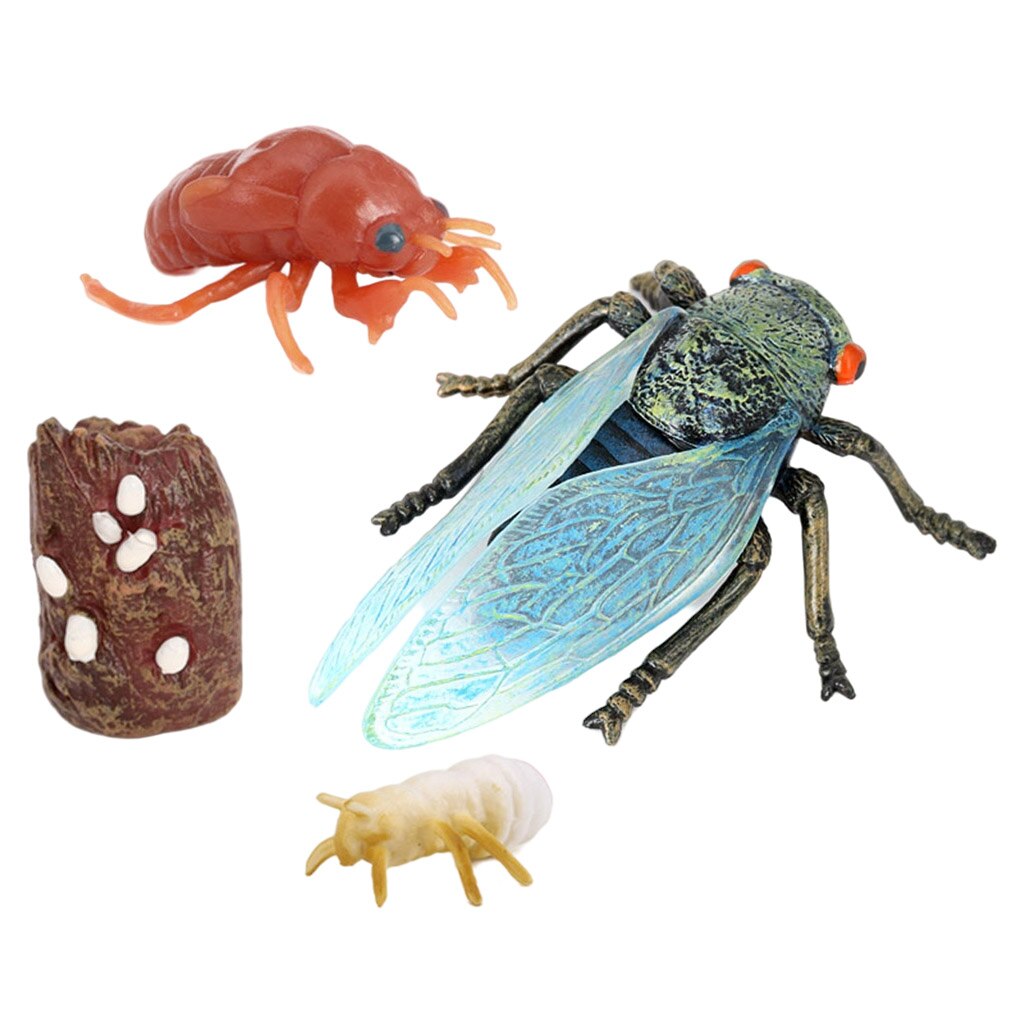 Insect Cicada Lore Life Cycle - 4 Pcs Insect Figure Shows Life of Lady Bug