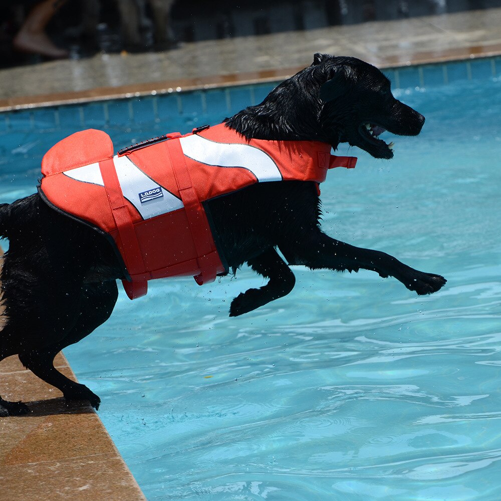 Redningsvest til kæledyr haj havfrue badedragt hund svømmedragt solid 2022 badetøj tøj til små mellemstore hunde