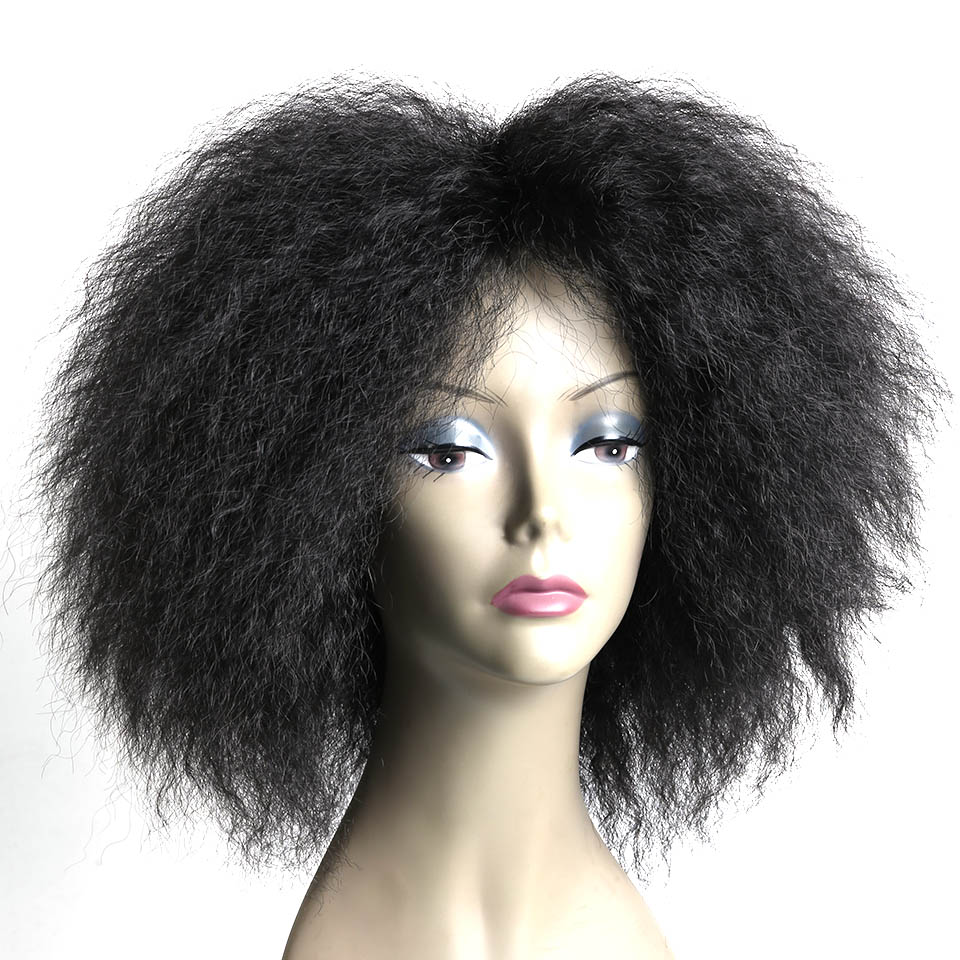 WTB Natural Short Afro Kinky Curly Synthetic Wig for Women High Temperature Fiber Wigs