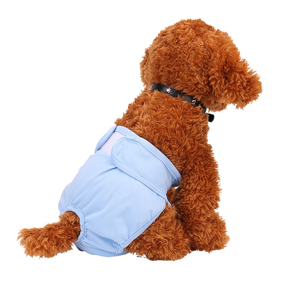 Blød kvindelig hundehvalp fysiologiske bukser åndbar kæledyrsundertøj bleer vaskbar pige kæledyrsble til små mellemstore hunde: Blå / M