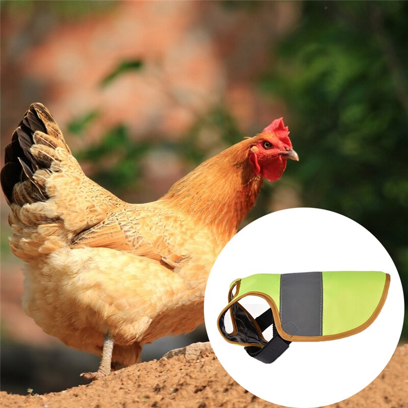 Chaleco reflectante para mascotas ropa con motivo de pollo, aves de corral, sillín, delantal, soporte de protección de plumas para pollo y pato