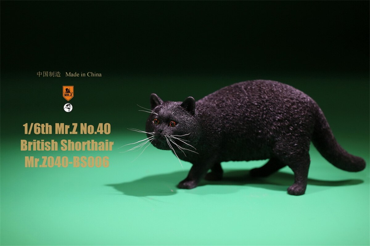 Mr.Z Studio 1:6 British Shorthair Cat Figure Cute Pet Animal Model Collector Toys Gfit Simulation Home Decoration Unisex: 006