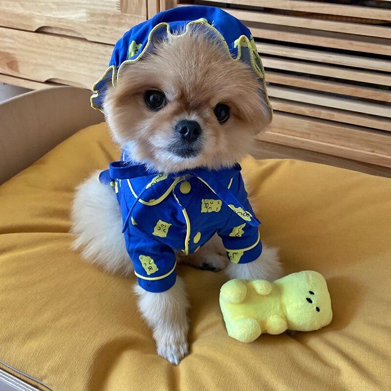 Conjunto de pijama de ropa para perro y Chihuahua, camisa azul de oso, caramelo, ropa bonita para perro cachorro, traje para Yorkshire