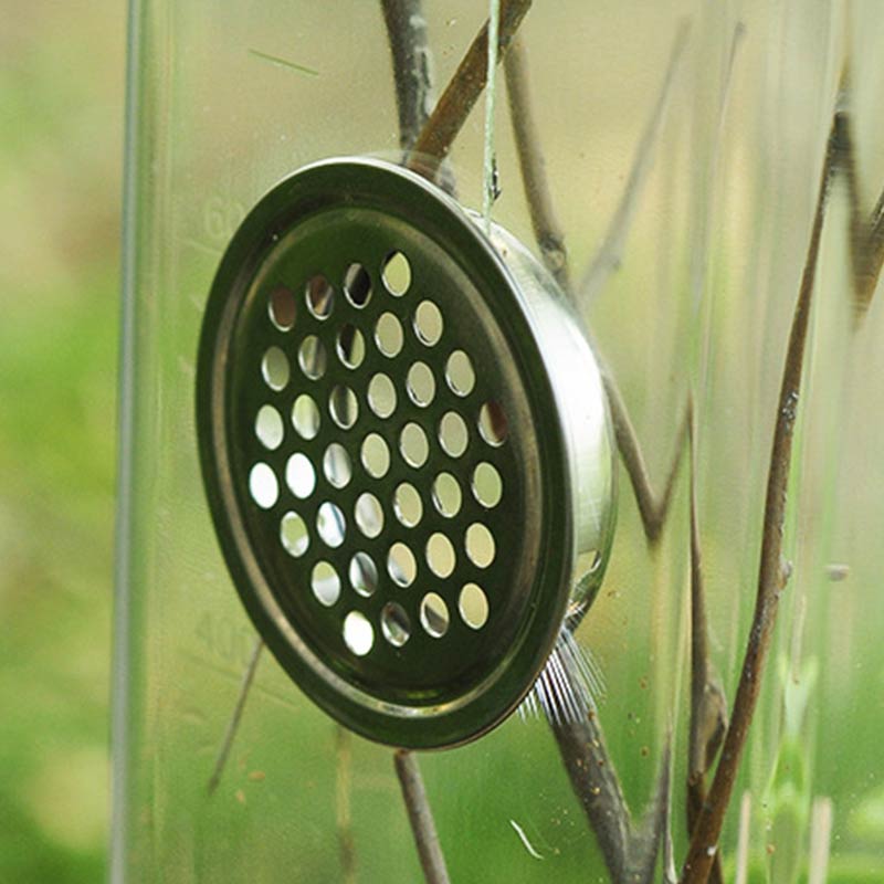 Insect Reptile Spider Terrariums Feeding Box Reptile Cage Hatching Container Rearing Tank Insect House