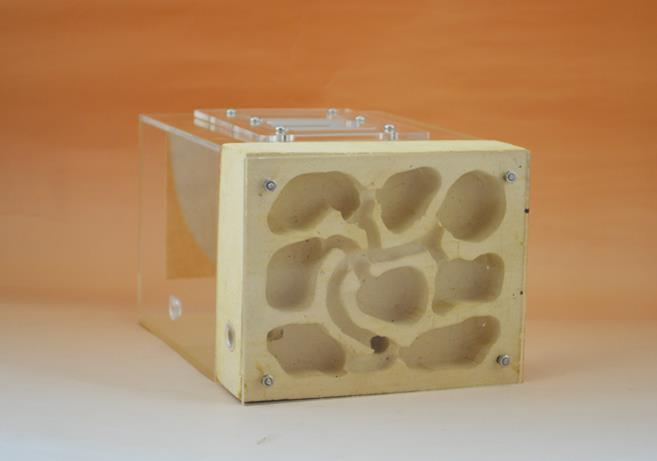 18*14*11cm Gips Ant Nest Acryl Ant Farm Mieren Koningin Huis Insect Kooi Anthills Huisdier Mier huis Granja De Hormigas Hormiguero: Default Title
