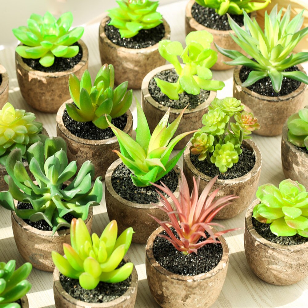 4Pcs/Set Simulation Succulent Plants Artificial Potted Plant Indoor Ornaments