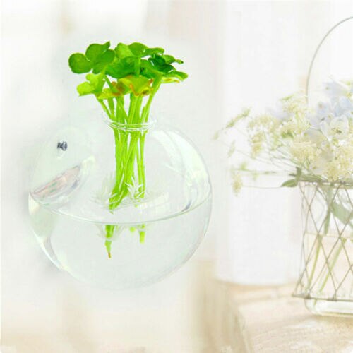 Opknoping Bloempot Glas Bal Vaas Terrarium Muur Aquarium Aquarium Container