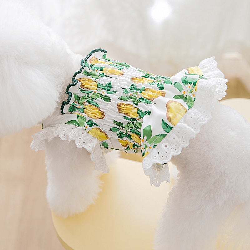 Robe d'été à fleurs pour chien, vêtements de princesse mignons pour chat et chien, Chihuahua Frnench bouledogue Bichon, Costume pour chien, jupe pour animaux de compagnie: M / Black