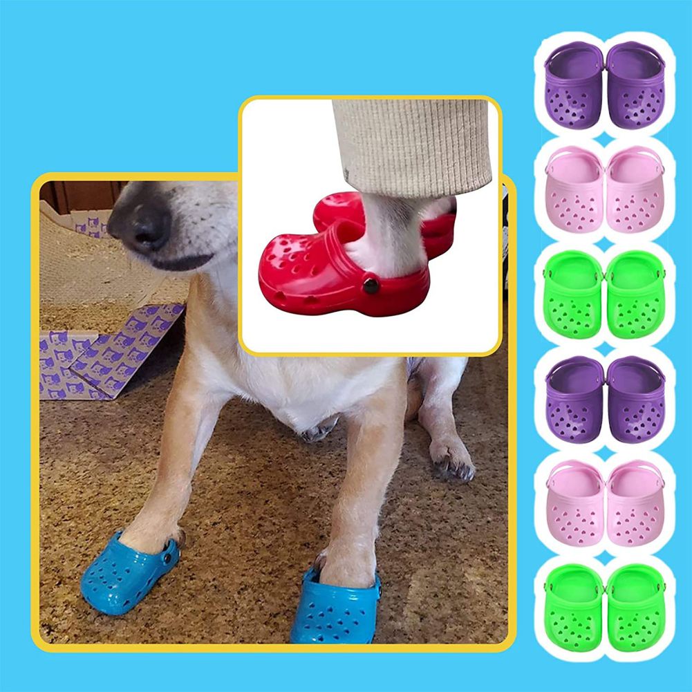 Chaussures d&#39;été pour chien, pantoufles ajourées, tongs de plage décontractées, respirantes, à enfiler, sandales pour petit chien