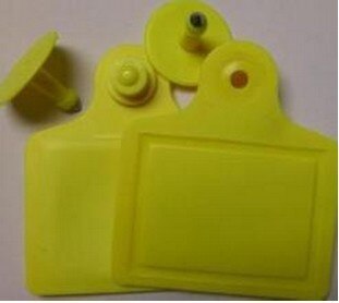 UHF RFID Ear Tags for Animal Tracking (Cattle, Cow and Sheeps)