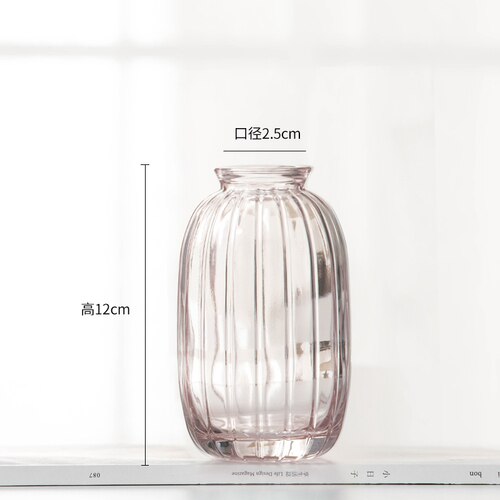 Florero tintado para sala de estar, flores secas, estilo nórdico Ins, cristal transparente, accesorios de decoración para el hogar, jarrones de flores para el hogar: E