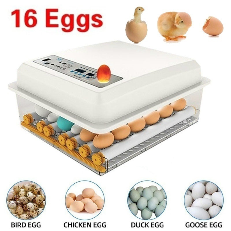 Incubatrice automatica per uova incubatrice per uo – Grandado