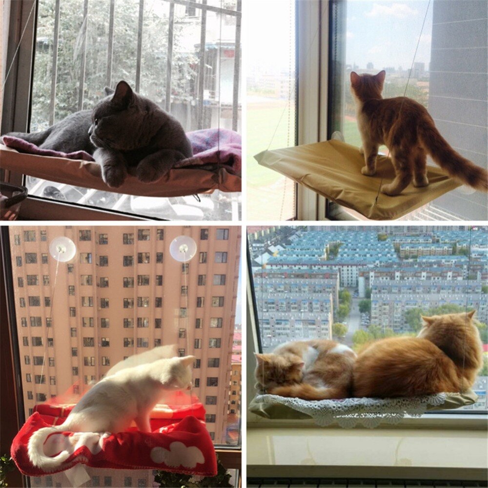 Hamac pour animaux domestiques | Siège monté sur fenêtre pour chat, ventouse de maison, tapis de lit suspendu, fournitures pour chats chaton, lit confortable pour chat et animal de compagnie