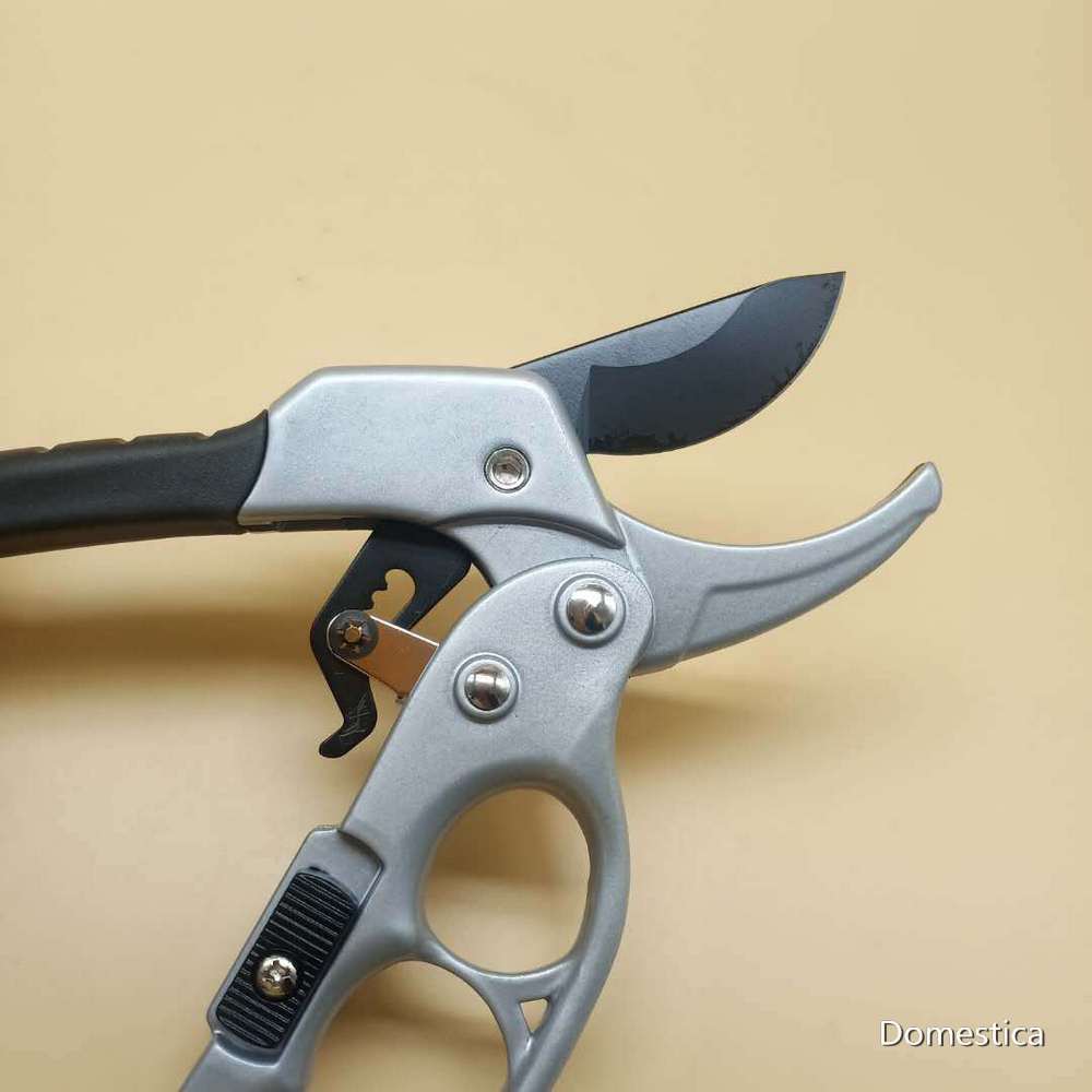 Hand-held Pruning Shears Garden Forest Plant Shears Garden Pruning Tools for Pruning Small Branches with A Diameter of 26 Mm