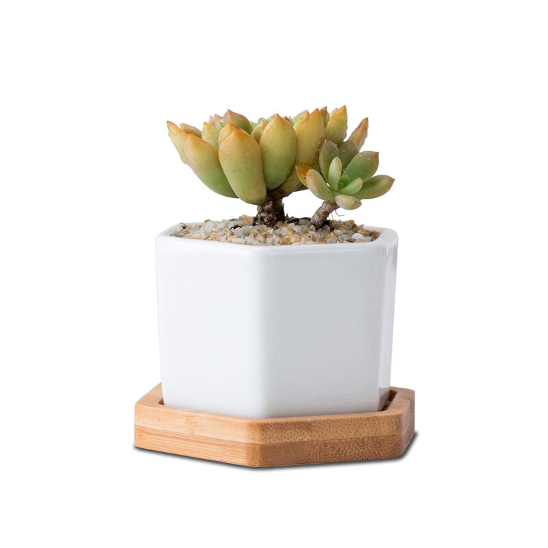 Minimalist Simple White Desktop White Ceramic Flowerpot With Bamboo Tray Succulent Plant Pot Cactus Planter Flower Pot: 2 mini