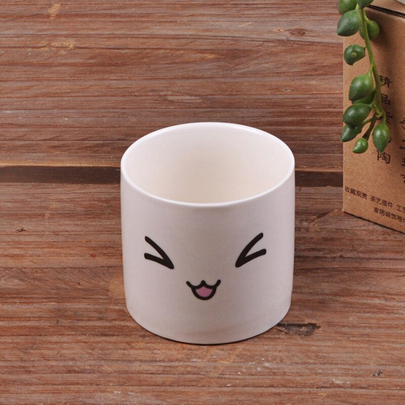 6 Styles Ceramics Planter Flowerpot Cute Expression Garden Succulent Plants Desk Flower Pot Garden Decor Ceramic Vase: g
