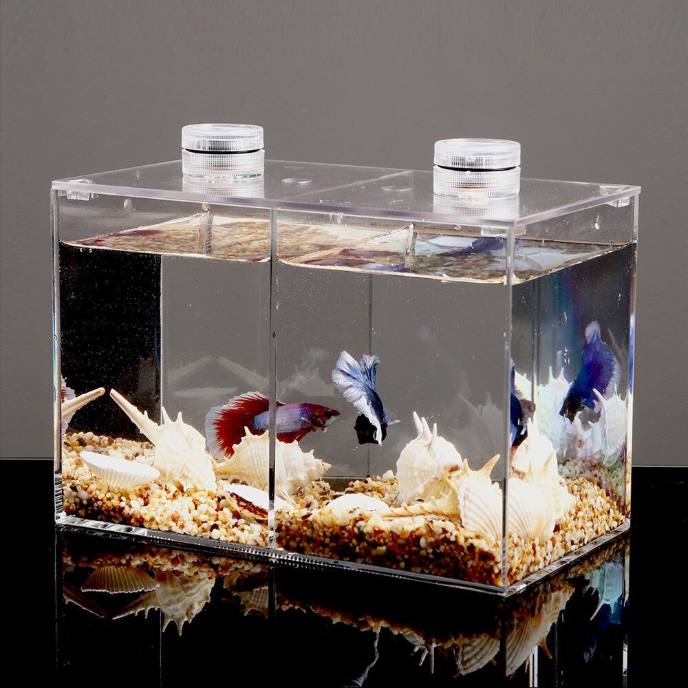 Mini tanque de peces de acrílico, Ornamental, Betta, acuario, paisajismo, ecológico, tanques de tortugas, decoraciones de escritorio para el hogar y la Oficina