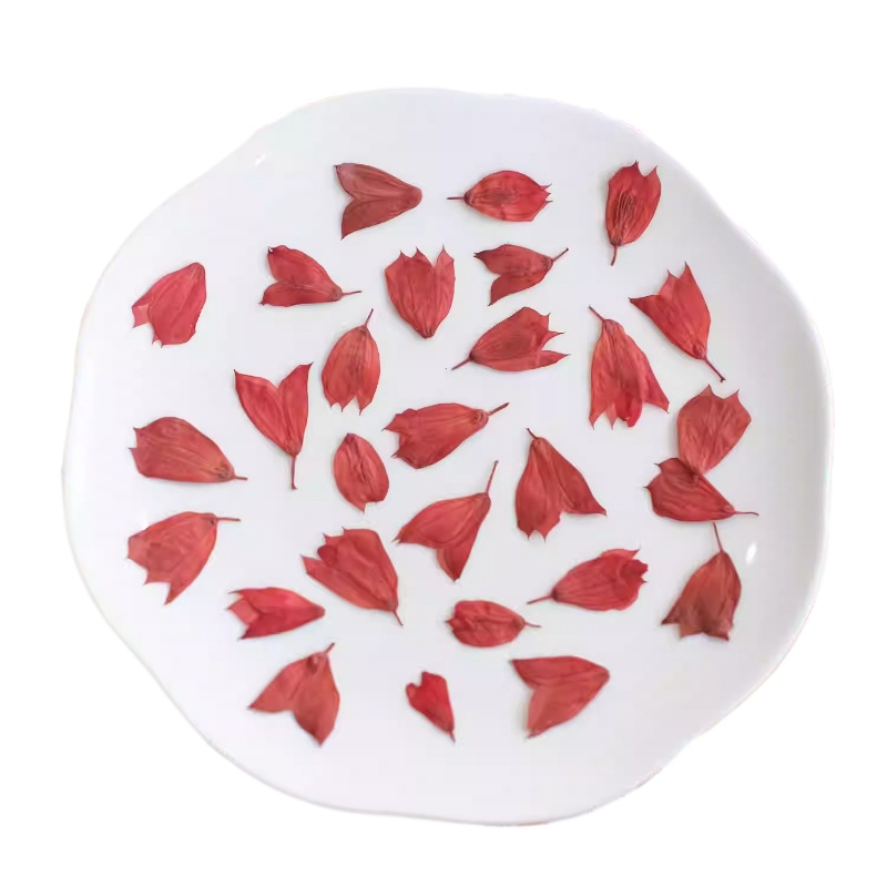 1-2 cm/40 stks, gedroogde tulp bloemknoppen geperste bloemen DIY ambachtelijke benodigdheden voor nail art, hars sieraden, telefoonhoes fotolijst decor