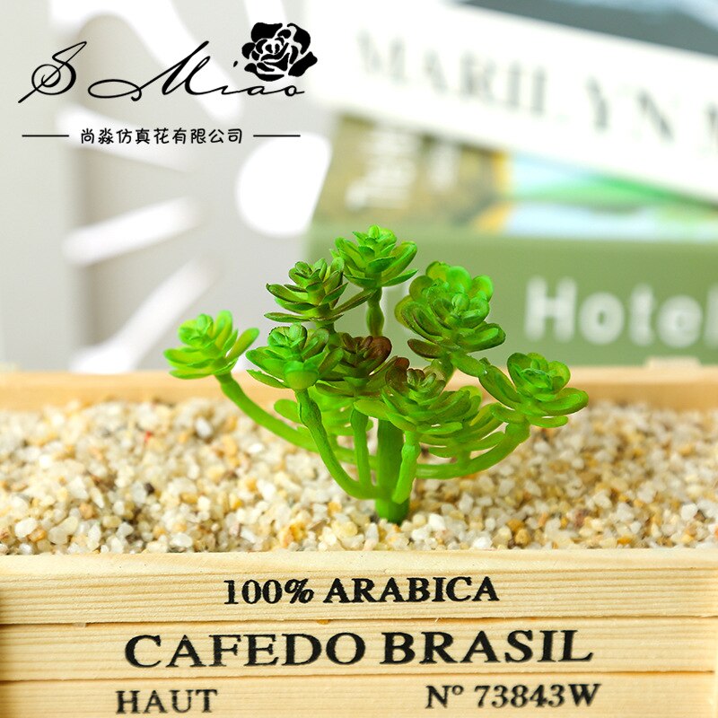 Sztuczna flokowana sukulenty DIY robić przydomowego ogrodu biuro dekoracje ślubne mini bonsai Plante wesele roślina dekoracyjna: xianrenke zielony