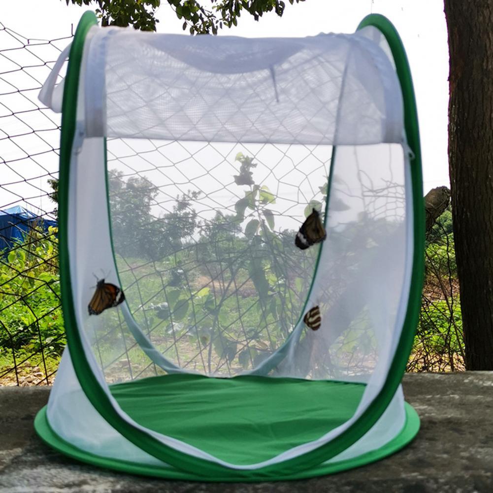 Insect Kooi Opvouwbare Te Dragen Groene Insect Mesh Kooi Terrarium Voor Tuin