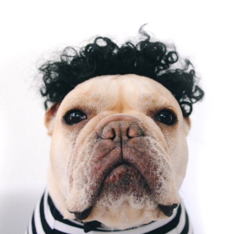 Lustige Hund Perücke Bunte Weiche Synthetische Haar Hunde Nette Kappe Für Cosplay Halloween Kostüm Phantasie Kleid SchöNe Für Haustier hund Katze