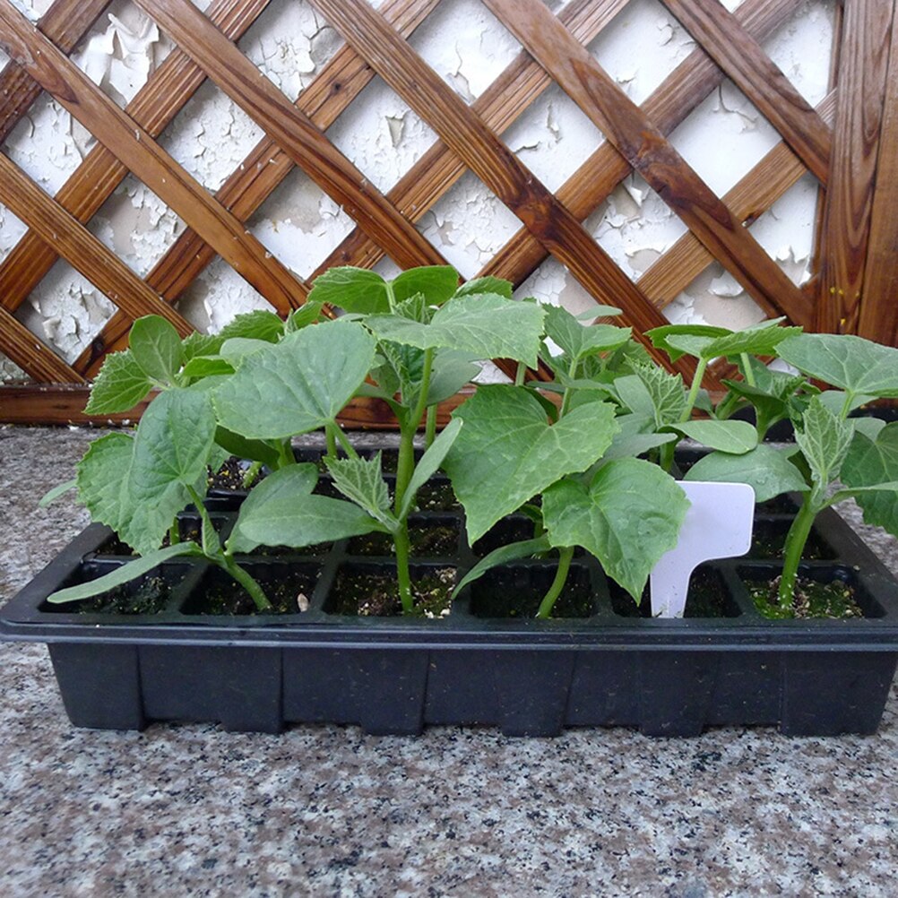 Boîte de semis en plastique 6/24 cellules, boîte de culture de graines de plantes, boîte de culture de jardin, pépinière Pots de plantes, plateau de semis de serre