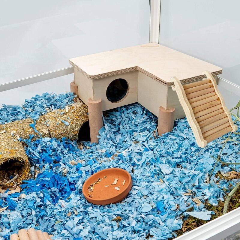 G6DA Hamster Klettern Leiter mit Rille Holz Rampe Brücke für Guinea schweine Igel Maus Zucker Segelflugzeug Eichhörnchen Streifenhörnchen