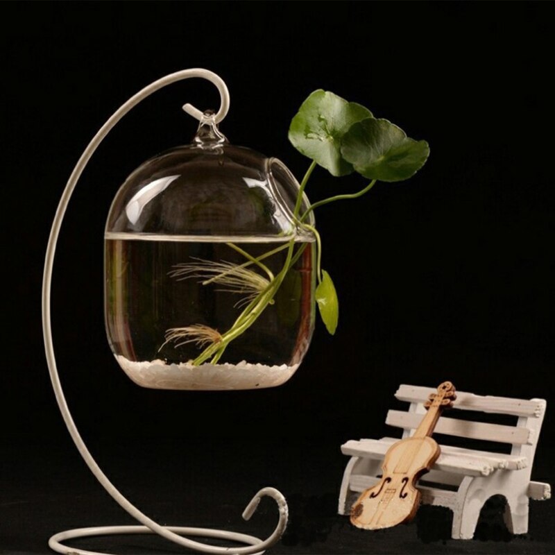Bouteille transparente suspendue en verre pour Aquarium Pl D0AC, pour Infusion de fleurs